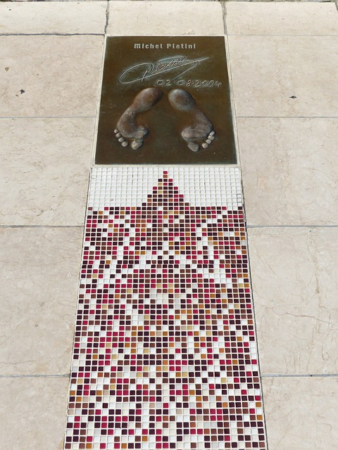 正如佩蒂所 正如佩蒂所