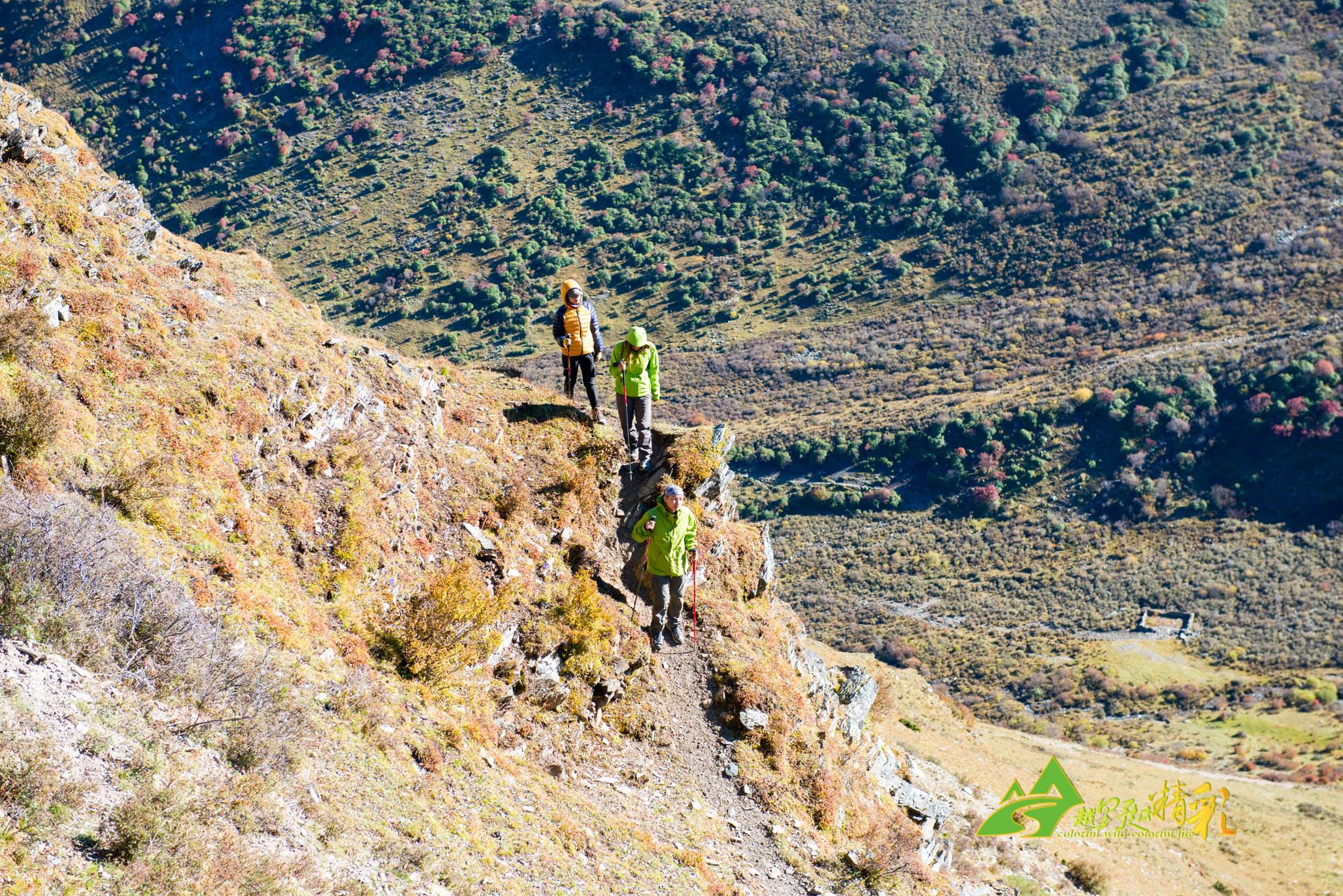 也为社会留 也为社会留